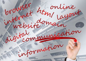 九游娱乐APP-球员形象代言引发社会话题，品牌合作更注重价值观一致，球员形象照